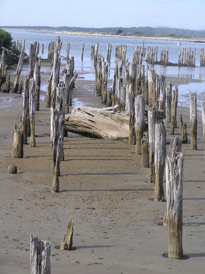 old pylons